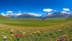 Deosai Plains