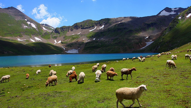 Deosai Image 2